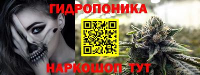 прущие крисы Будённовск