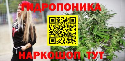 прущие крисы Будённовск