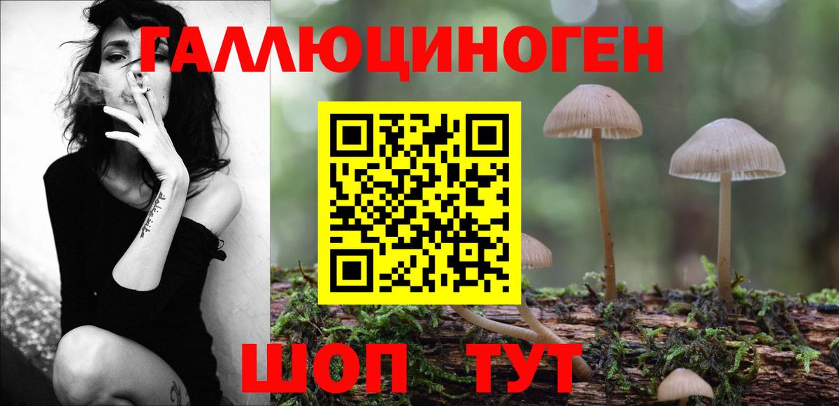 Пермь  где можно купить   Псилоцибиновые грибы Cubensis  Вход с VPN  Псилоцибиновые грибы GOLDEN TEACHER 