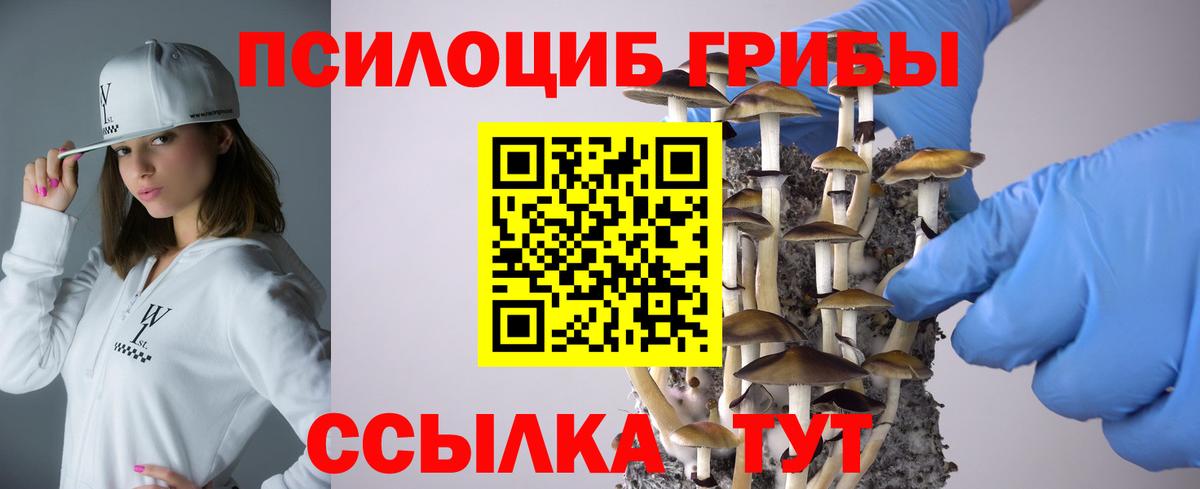 Псилоцибиновые грибы мухоморы Пермь
